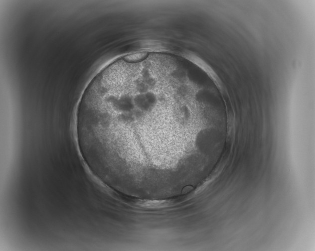 X0000103221439200809181455