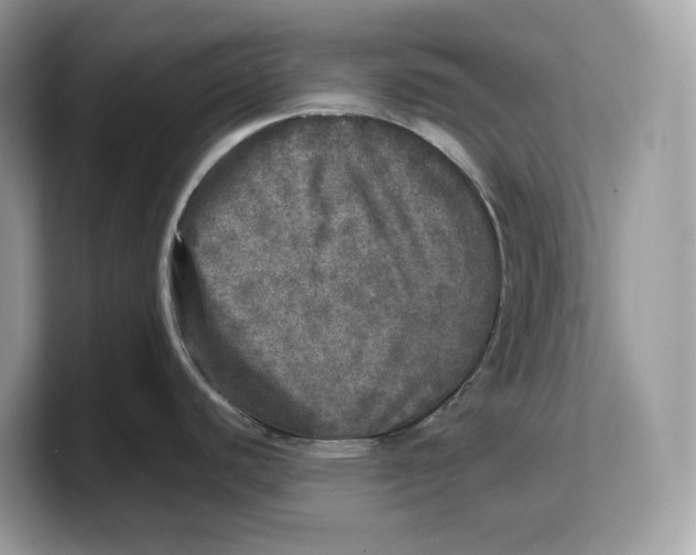 X0000103221440200809181455