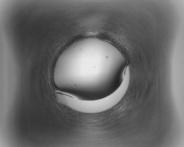 X0000103221441200809181454