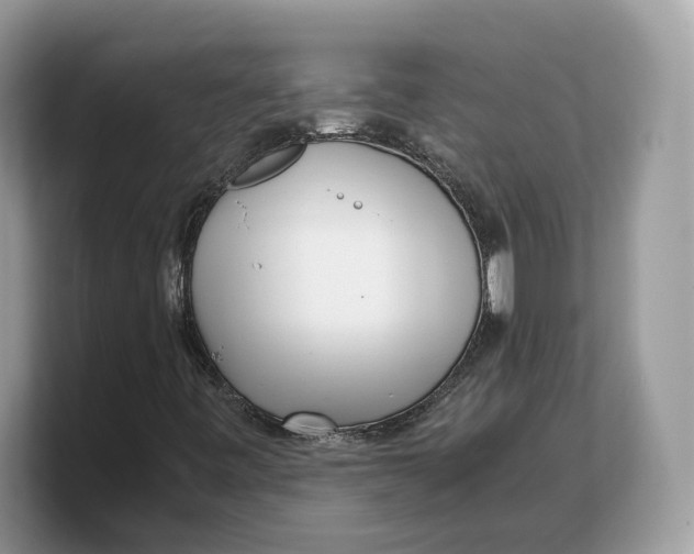 X0000103221443200809181454