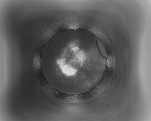 X0000103221444200809181454