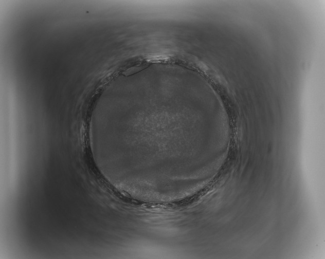 X0000103221445200809181454