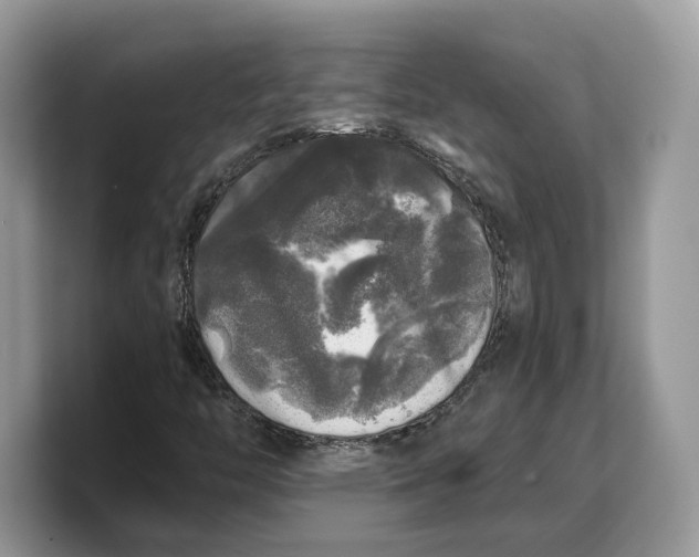 X0000103221446200809181454