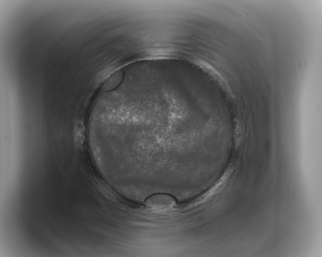 X0000103221449200809181454