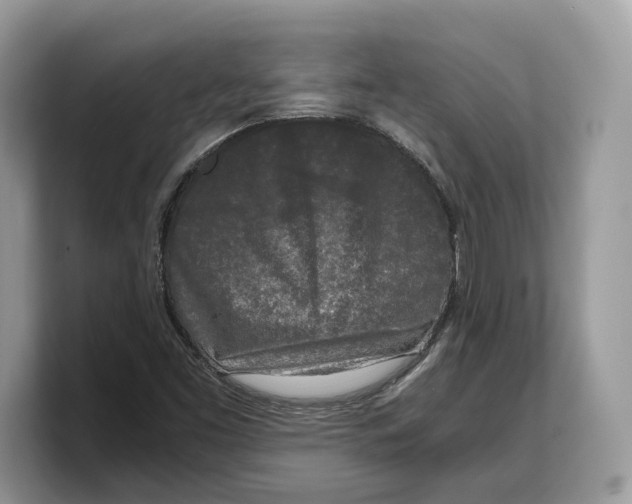 X0000103221453200809181454