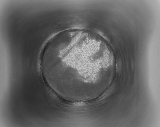 X0000103221454200809181454