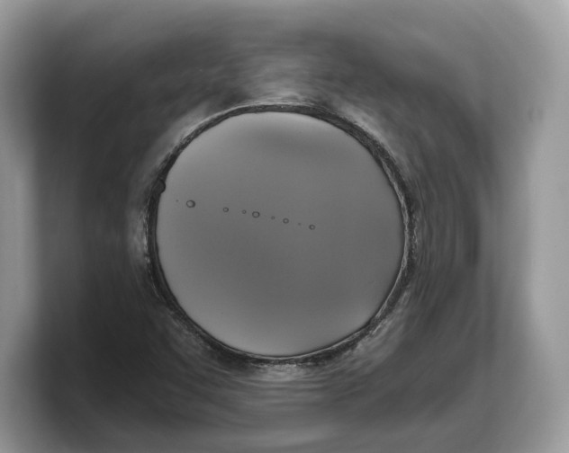 X0000103221455200809181454