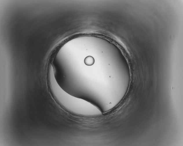 X0000103221456200809181454