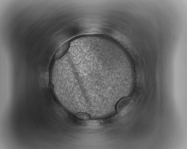 X0000103221457200809181454