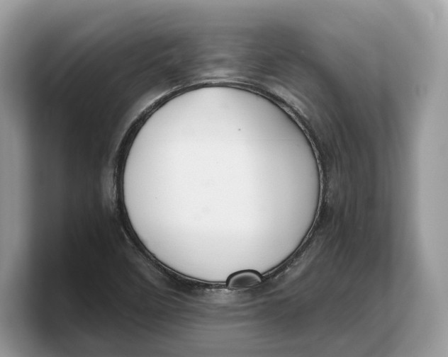 X0000103221458200809181454