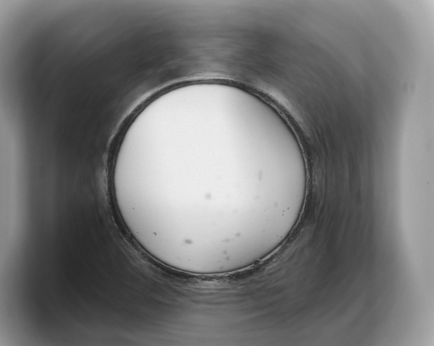 X0000103221460200809181454