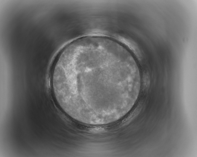 X0000103221462200809181454