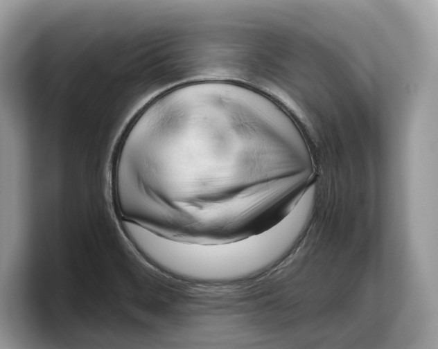 X0000103221468200809181454