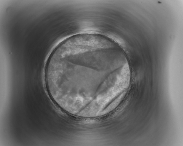 X0000103221470200809181454