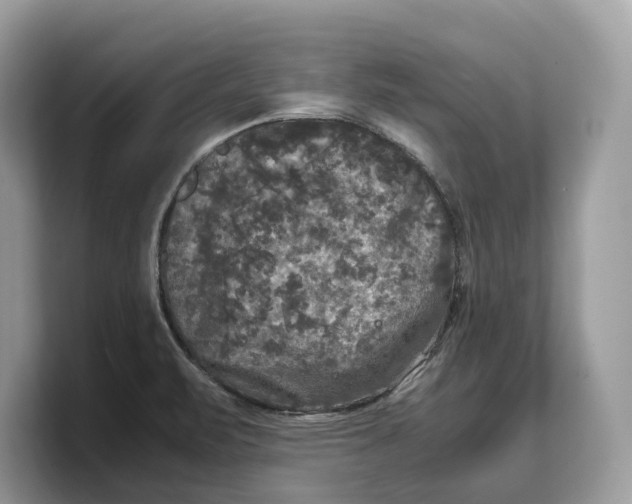 X0000103221471200809181454