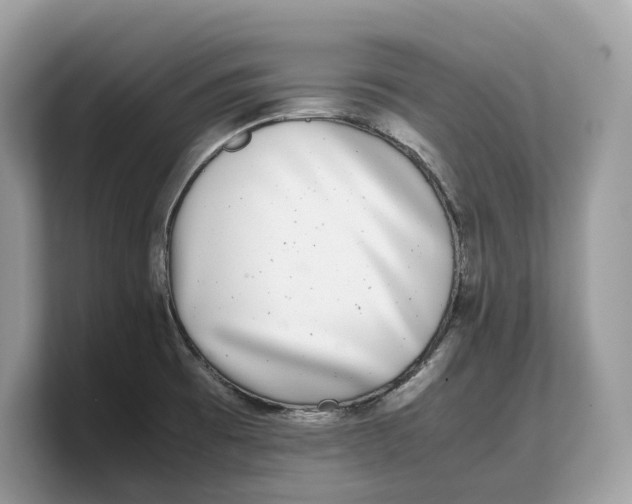 X0000103221473200809181454