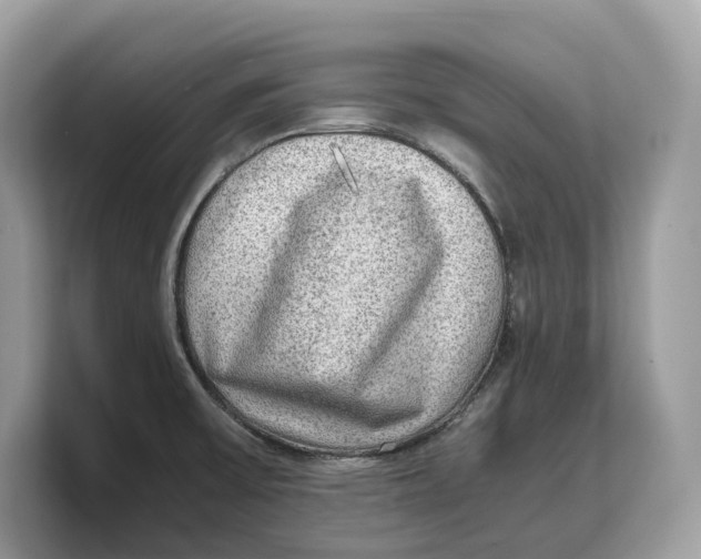 X0000103221475200809181454