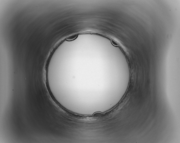 X0000103221476200809181454