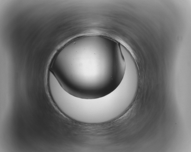 X0000103221477200809181454