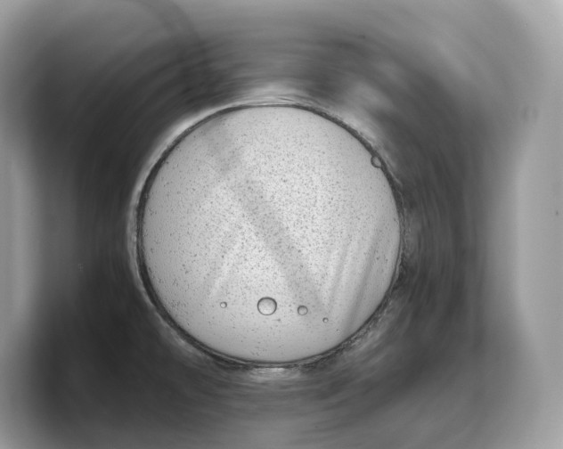 X0000103221478200809181454