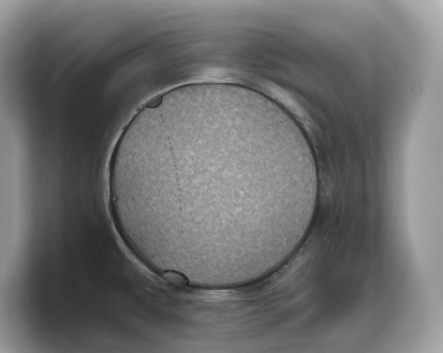 X0000103221479200809181454