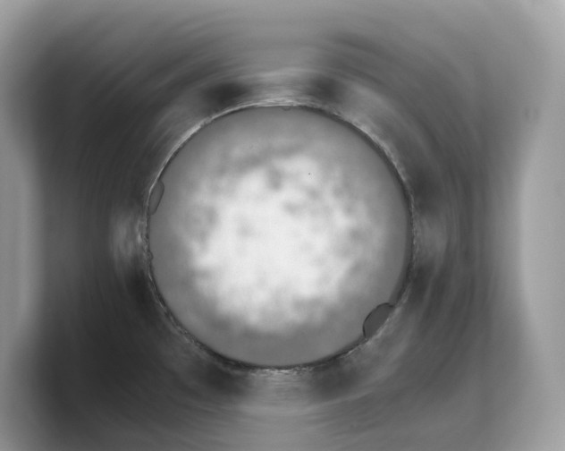 X0000103221481200809181454