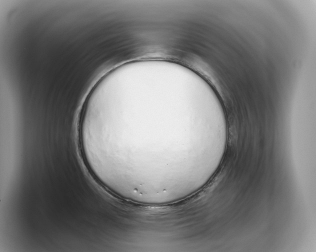 X0000103221483200809181453