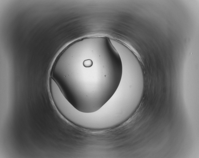 X0000103221484200809181453