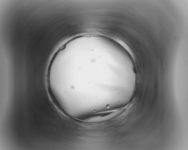 X0000103221485200809181453