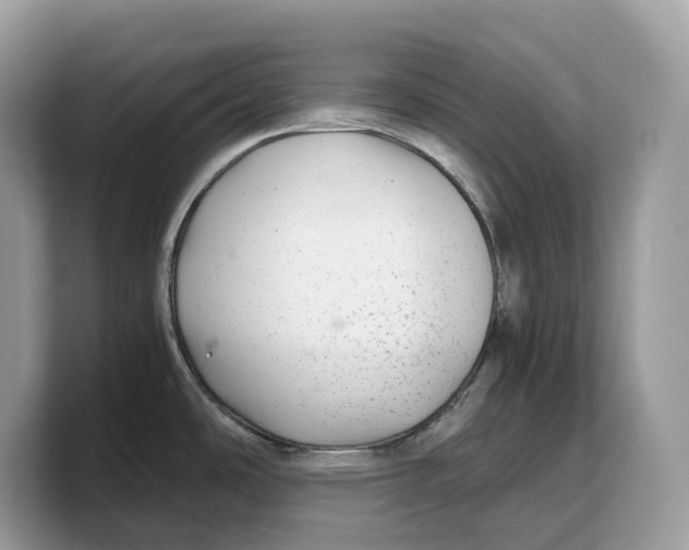 X0000103221486200809181453