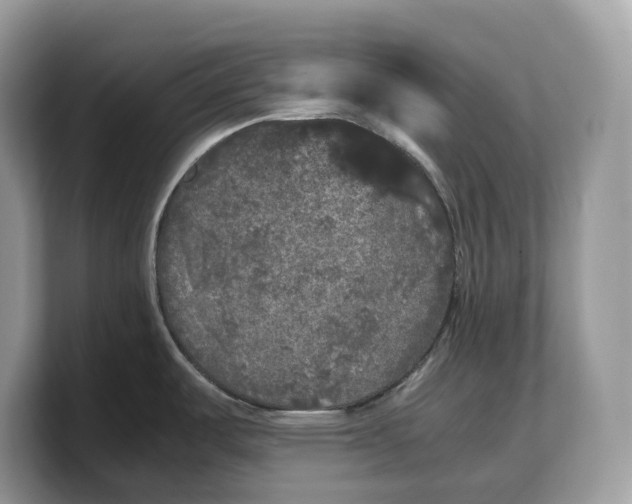 X0000103221487200809181453