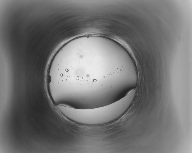 X0000103221488200809181453