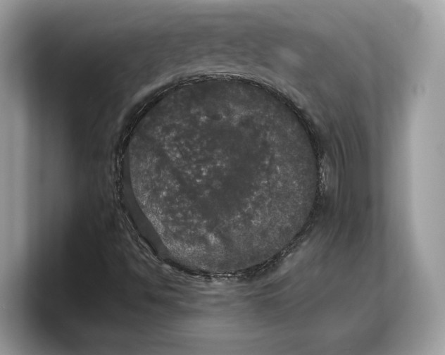 X0000103221494200809181453