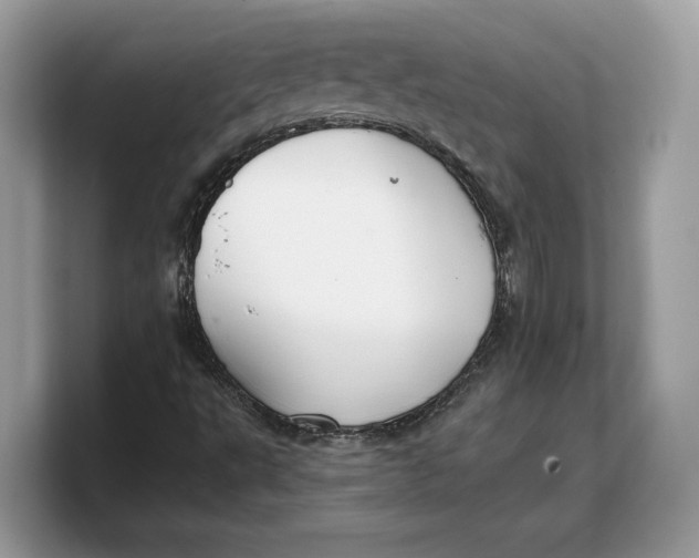 X0000103221495200809181453