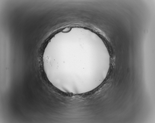 X0000103221496200809181453