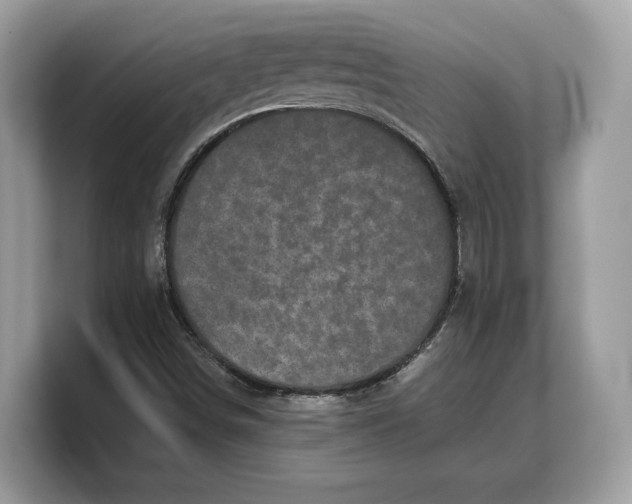 X0000103221498200809181453