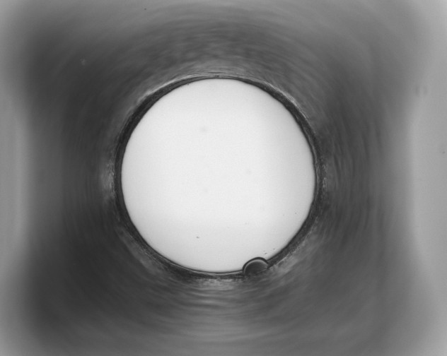 X0000103221499200809181453