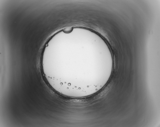 X0000103221500200809181453