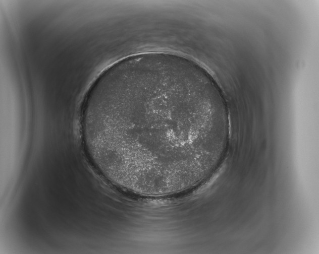 X0000103221501200809181453