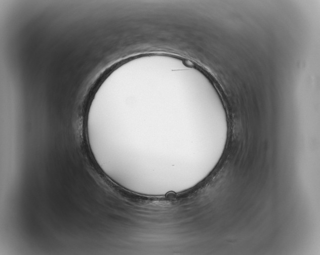 X0000103221503200809181453