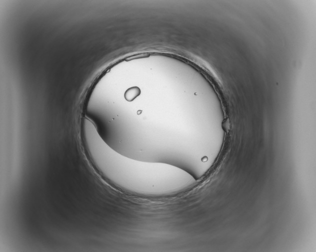 X0000103221504200809181453