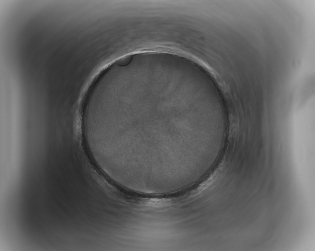 X0000103221506200809181453