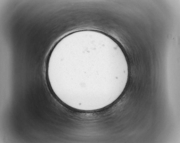 X0000103221508200809181453