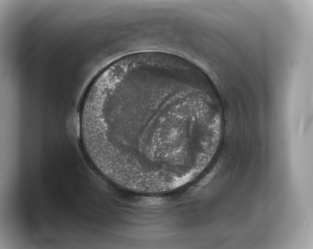 X0000103221509200809181453