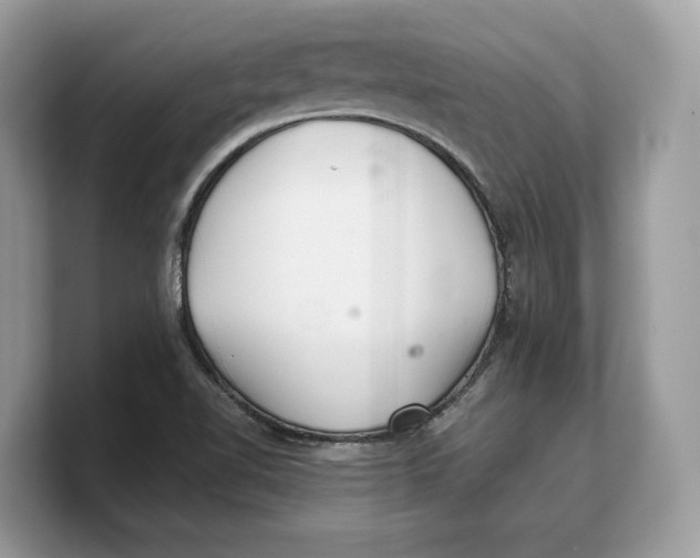 X0000103221510200809181453