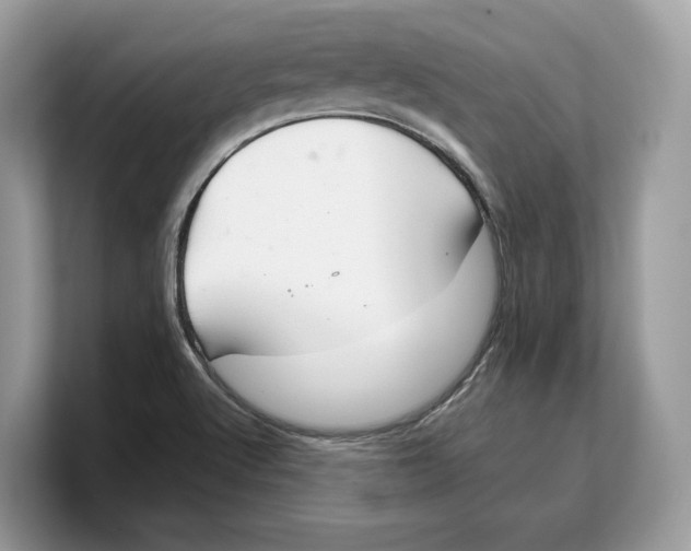 X0000103221512200809181453