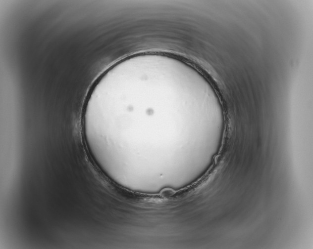 X0000103221513200809181453