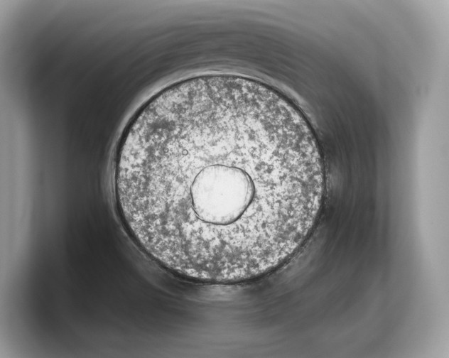 X0000103221514200809181453