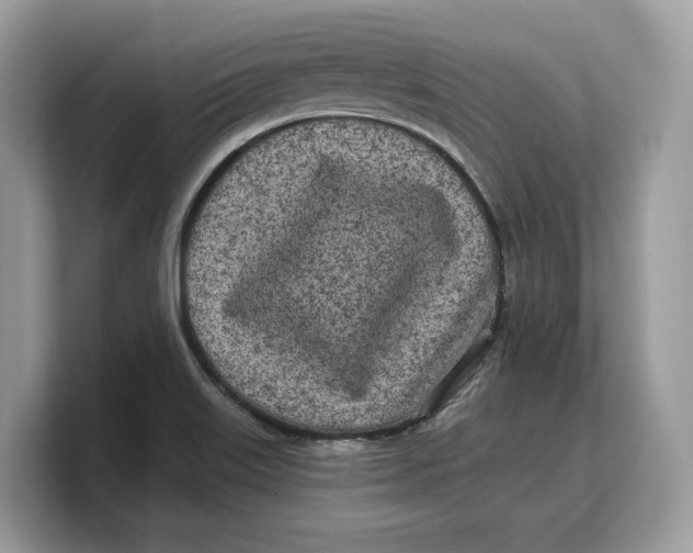 X0000103221515200809181453