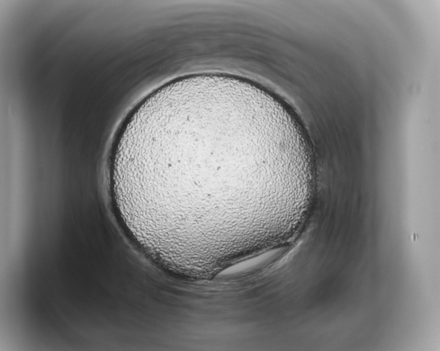 X0000103221517200809181453